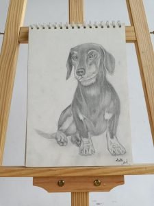 Malshi 13 (12)
