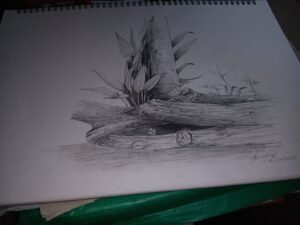 Roshini (27)