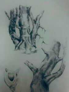 Sudath (16)