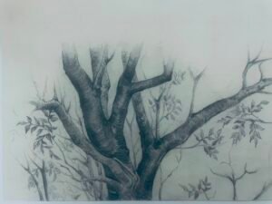 Sudath (21)